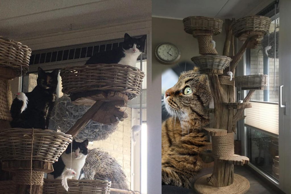 overtuigen Alstublieft saai Een Kattenboom zelf maken - Katten zijn gek op klimmen - De Nieuwe kat